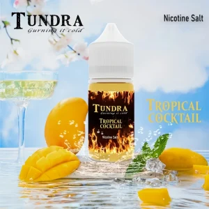 T牌芒果 TUNDRA 小煙油30ml 電子菸油 - 霧森坊 3 小煙 T牌 芒果 300x300