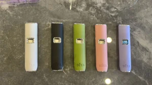 diya 叮啞 皮革主機 霧森坊 diya 叮啞 皮革主機 霧森坊