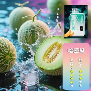 sp2s 9000口拋棄式電子煙 霧森坊 sp2s 9000口拋棄式電子煙 霧森坊