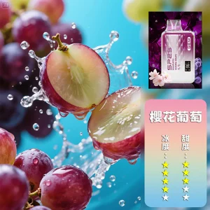 sp2s 9000口拋棄式電子煙 霧森坊 sp2s 9000口拋棄式電子煙 霧森坊