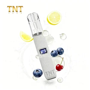 tnt皮革電子菸主機 霧森坊