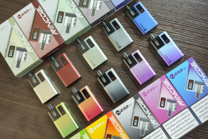 rincoe neso et 主機 rincoe neso et 主機